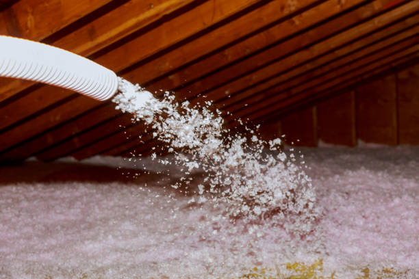 Professional Insulation Installation & Removal in Bay Hill, FL